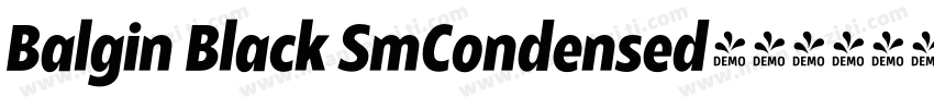Balgin Black SmCondensed字体转换